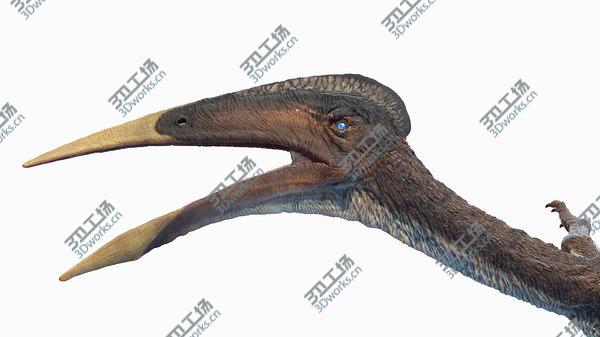 images/goods_img/20210312/Hatzegopteryx 3D model/3.jpg